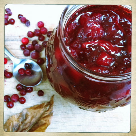 lowbush_cranberry_marmalade_relish